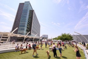 Visit Fairfax | Influencer Marketing Visit Fairfax | Influencer Marketing