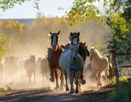 Visit Laramie | Sustainability Campaign