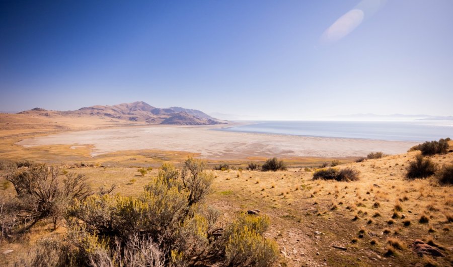 Discover Davis | Agency of Record