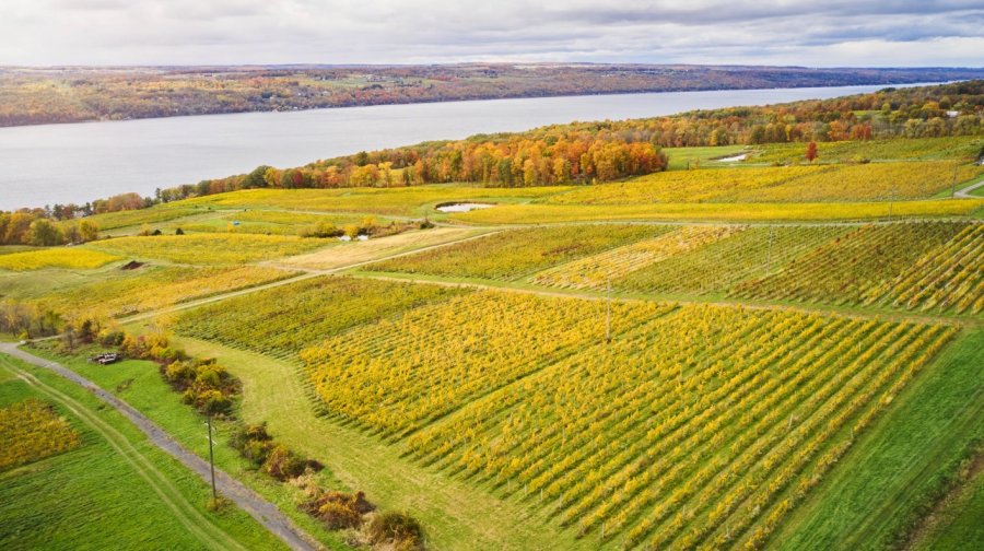 Finger Lakes Public Relations | Rewriting the Story of the Finger Lakes