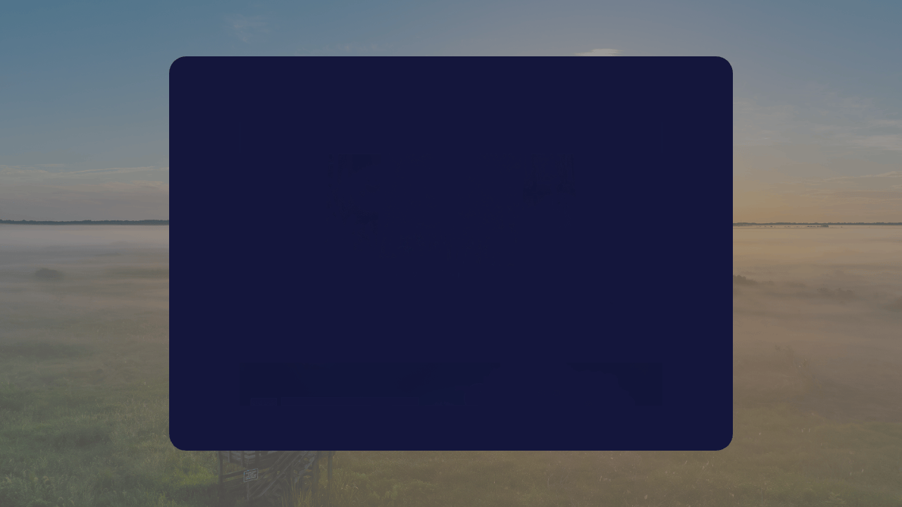 Visit Gainesville | Website Redesign