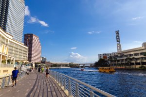 Visit Tampa Bay | Guide and Marketing