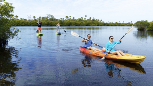 Florida's Sports Coast | Website Florida's Sports Coast | Website