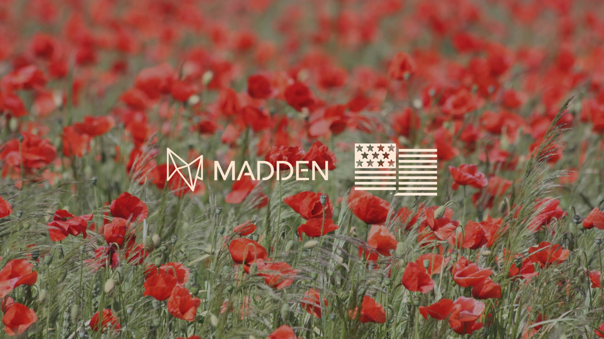 Memorial Day: Between Remembrance and Road Trips