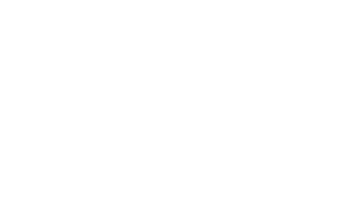 The Palm Beaches | Website Refresh The Palm Beaches | Website Refresh