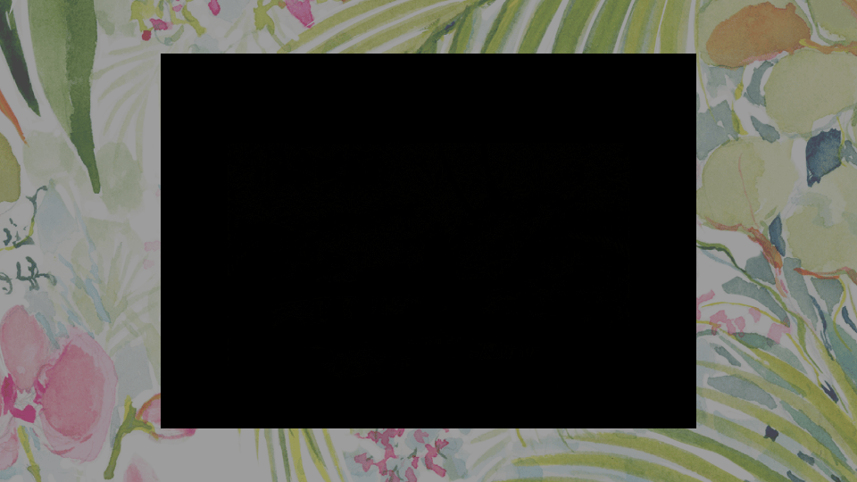 The Palm Beaches | Website Refresh The Palm Beaches | Website Refresh