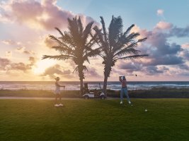 The Palm Beaches | Website Refresh The Palm Beaches | Website Refresh