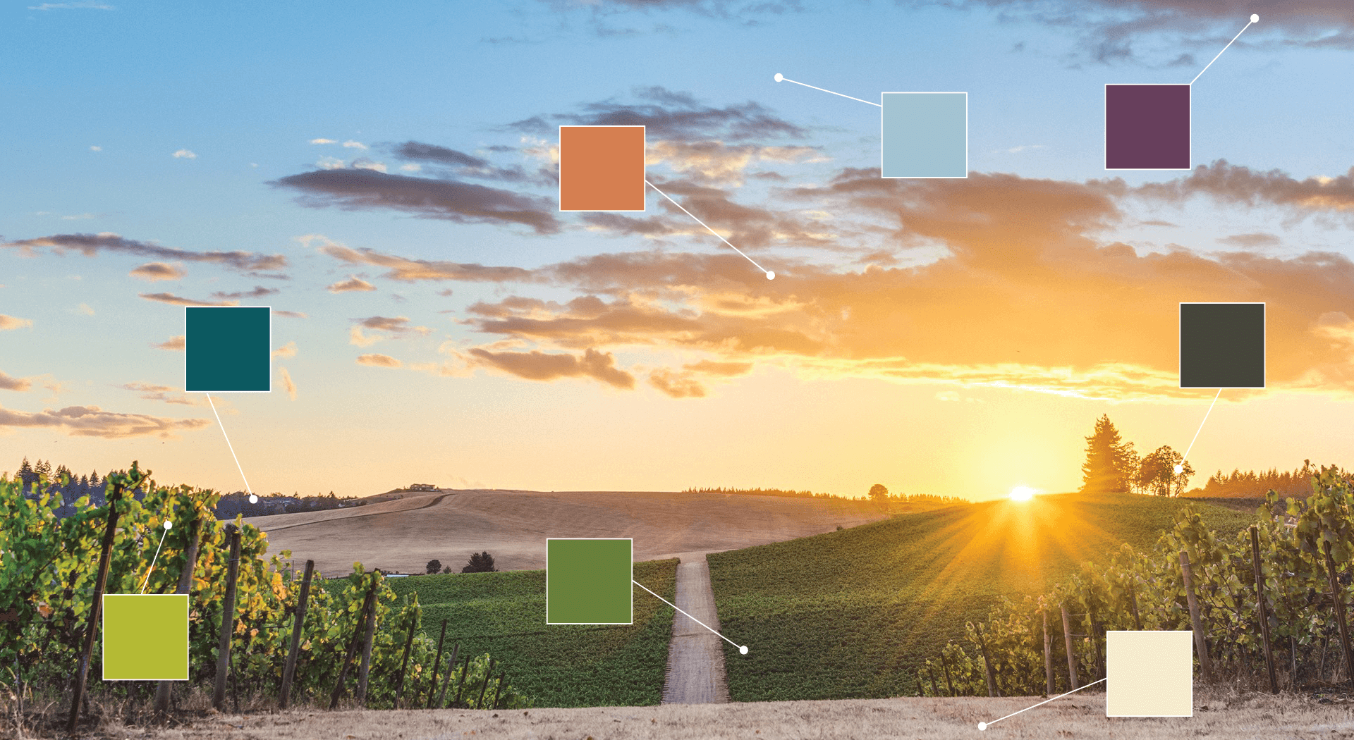 Willamette Valley | Brand Development