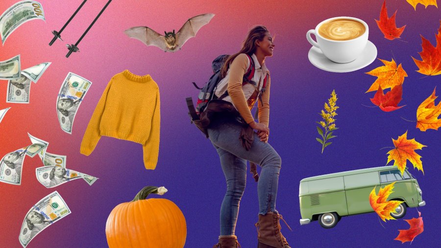 Tourism Industry Trends