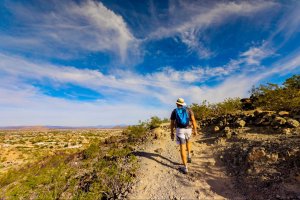 Visit Glendale | "WHERE CHAMPIONS ARE CROWNED"