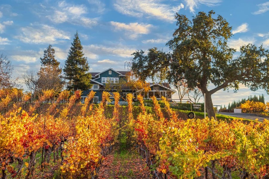 Visit Tri-Valley | Portal Activation