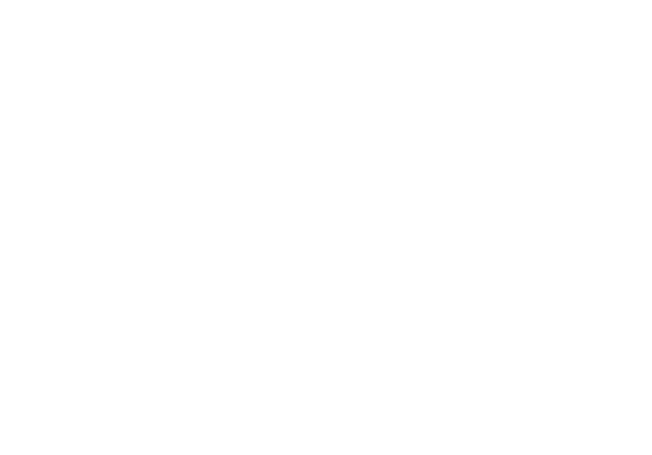 Madden Media Voyage