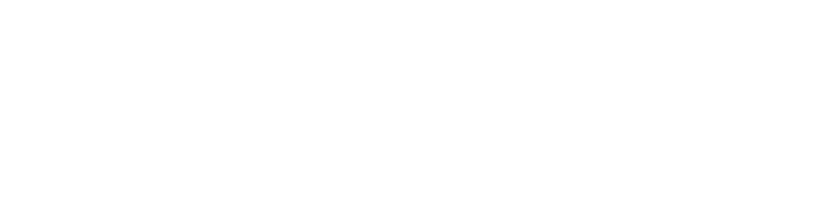 Visit Tampa Bay | Activation
