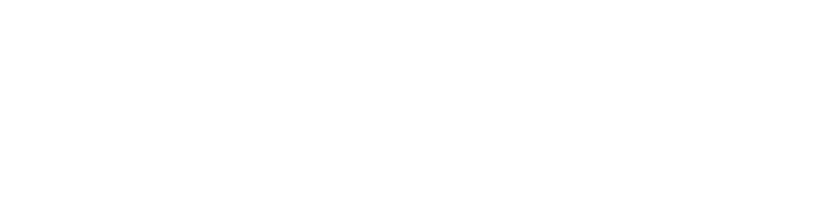 Visit Tampa Bay